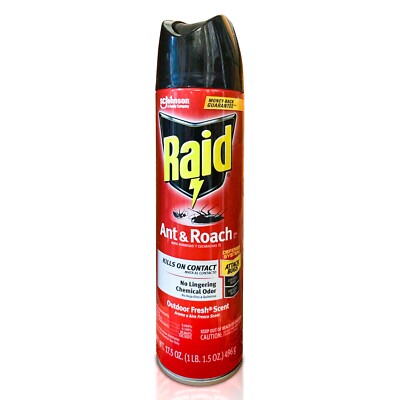 Raid Ant & Roach Killer: Your Defense Against Household Pests | 17.5 fl oz