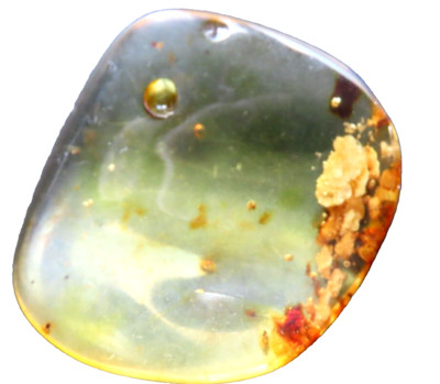 AMBAR with WATER DROPLETS and SPORES embedded 9 grs