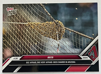 2024 Topps Now #145BEE SSP Matt Hilton Beekeeper Bees Swarm in Arizona IN HAND