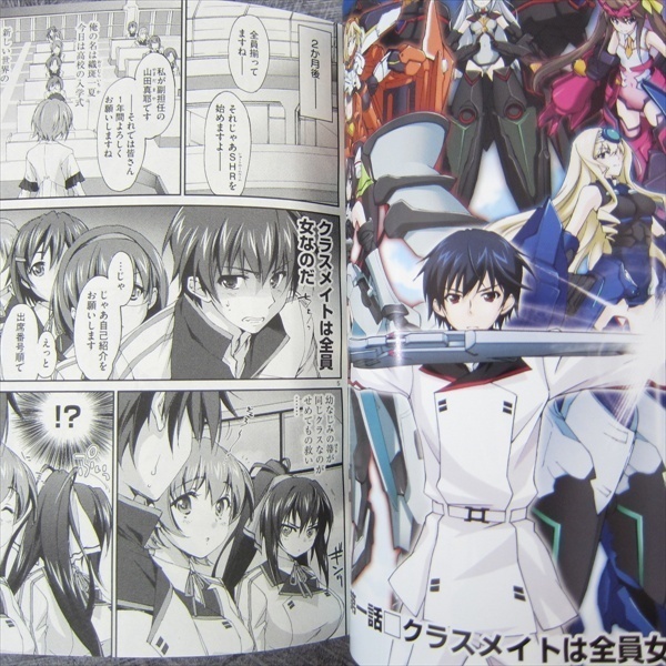 IS: Infinite Stratos Manga Goes on Hiatus