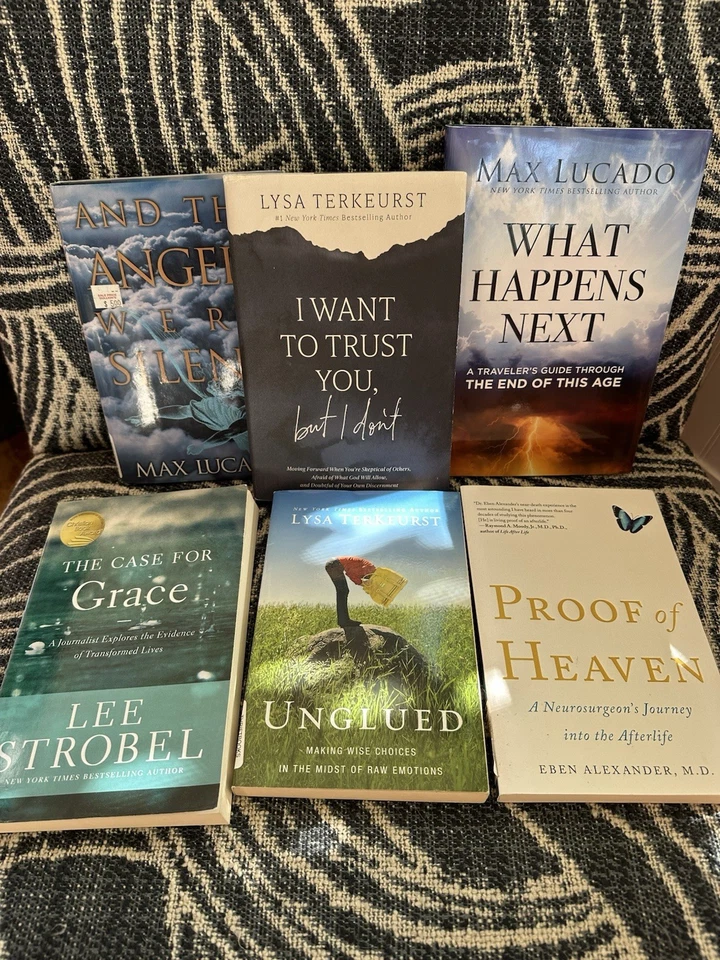 Max Lucado, Lee Strobel, Lysa Terkurst Lot Of 6 Christian Books (6) Foto 2 de 3