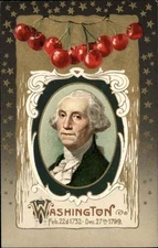 George Washington Patriotic Stars Cherries Gilt Embossed Winsch 1900s-20s PC