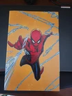 Amazing Spider-Man 1 (2025) C2E2 JB Meyers LTD To 400
