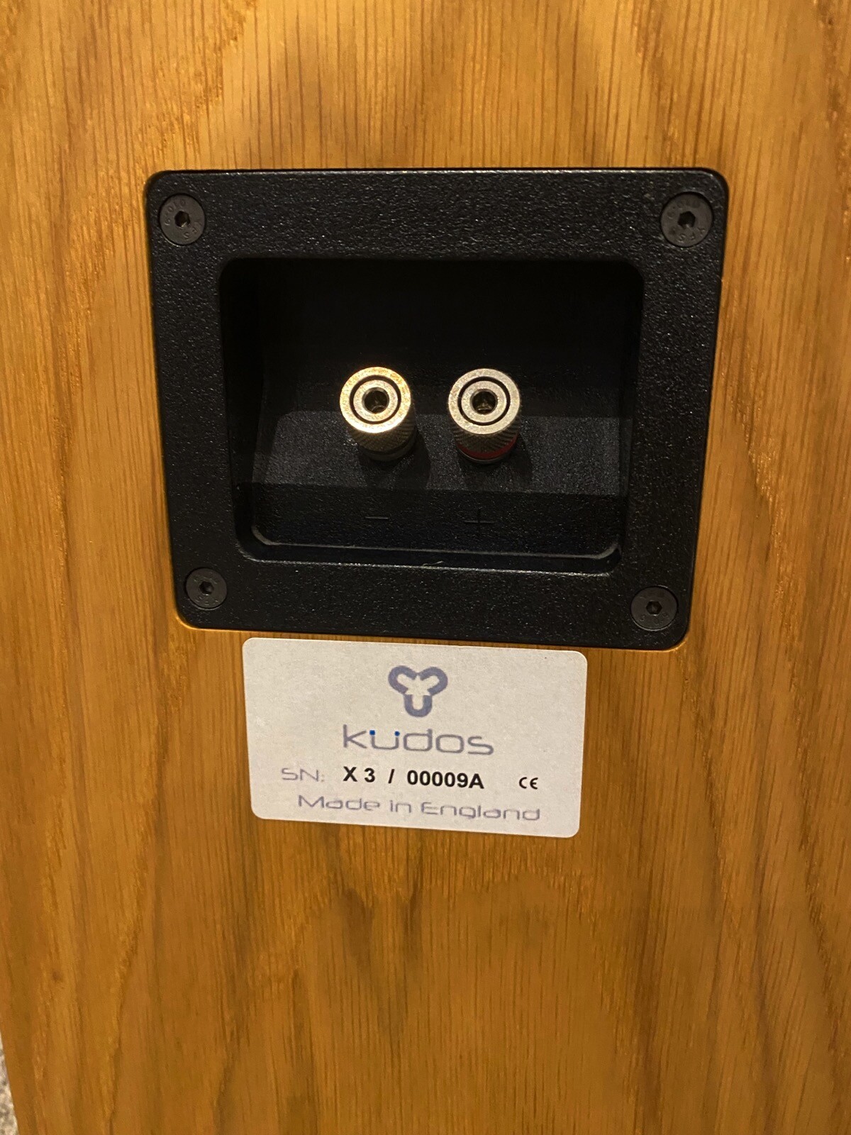 KUDOS X3 Audiophile Floorstanding speakers Boxed SUPERB in OAK eBay