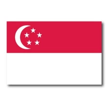 Singapore Flag Car Magnet Decal - 4 x 6 Heavy Duty for Car Truck SUV