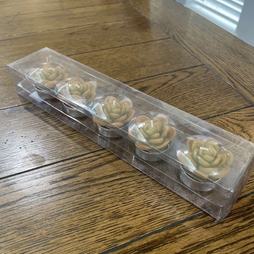 Pottery Barn суккулент Echeveria свечи Tealights набор из 5 новый в коробке - Изображение 3 из 4