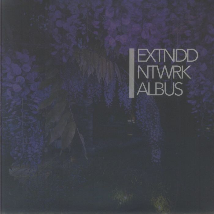 EXTNDDNTWRK - Albus - Vinyl (translucent blue vinyl 2xLP + insert)