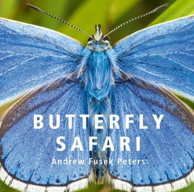 Butterfly Safari by Andrew Fusek Peters HARDBACK 9781802583700