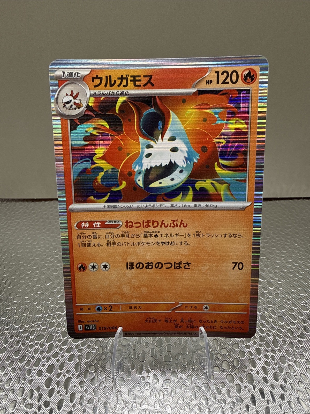 Volcarona 019/086 SV11B: Black Bolt Holo (Japanese) - POKEMON TCG NM