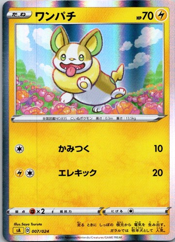 Yamper 007/024 V Starter Set Lightning Pokemon TCG Holo NM