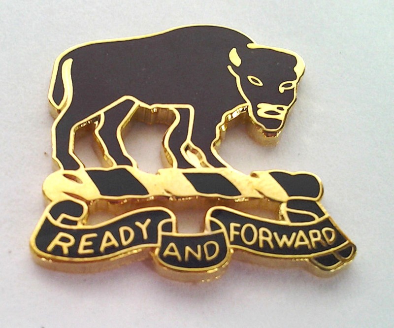 10TH CAVALRY REGIMENT (1") US ARMY Military Hat Pin 14137 HO