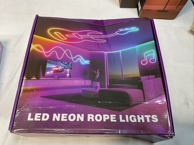 Segrass 100ft LED Neon Decor 