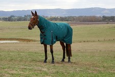 Weatherbeeta Comfitec Classic 220g Horse Turnout Rug,  Full Neck Combo