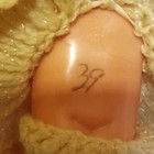Bild 8 von 12