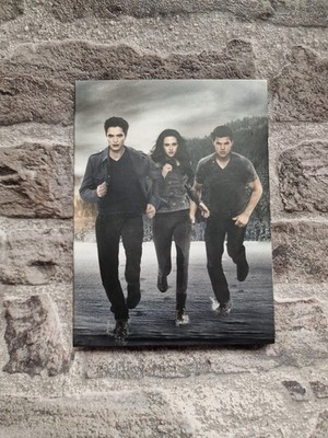 Twilight Saga - breaking dawn - Biss zum Ende der Nacht - DVD / Film