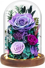 Forever Fresh Flowers Bouquet in Glass Dome with Light, Preserved Purple Roses G