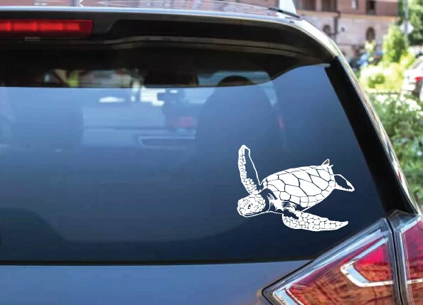 海洋生物 - 加拉帕戈斯海龟 1 户外窗户贴花乙烯基贴纸 6 年胶片 — 第 3/4 张图片
