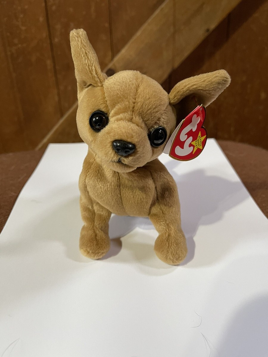 TY Beanie Baby Tiny the Chihuahua Dog 1998 Retired Plush Toy