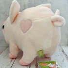 Foto 4 di 5
