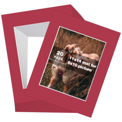 Pack of 20, 11x14 Mixed Colors Photo Mats White Core Bevel Cut for 8x10 Pictures