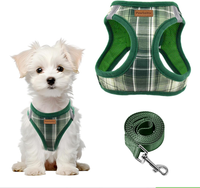 Hundegeschirr Klein Hunde Step-In Anti-Zug Welpengeschirr Superweiches Mesh Hund