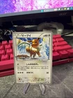 Pokemon TCG Eevee 213/BW-P Promotional Card Gym Challenge Promo Japanese