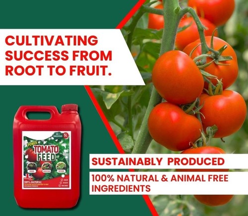 5L Tomato Feed Liquid Plant Food Fertiliser Feed Liquid Concentrate Organic Food - Picture 3 of 8
