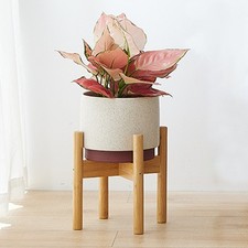 Image of Large 35cm Indoor Plant Pot Stand Brown Tribal Cement 35cm Pot Holder Planter UK