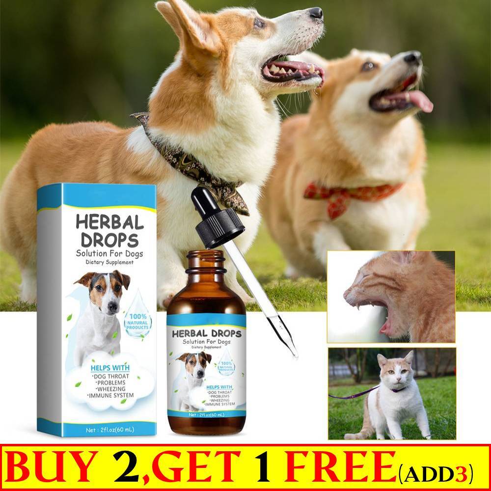 Kennel Cough Dog Cold Symptoms Treatment Kennel Cough: A Natural