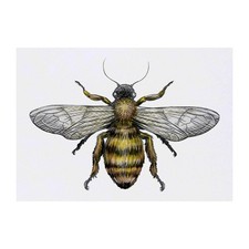 'Bee' Temporary Tattoos / Transfers TO00055742 