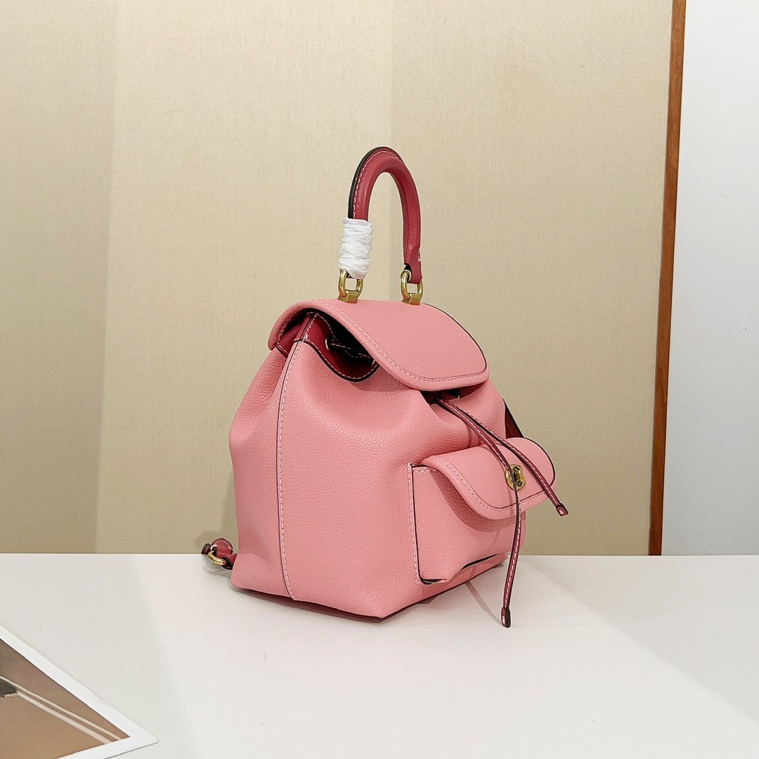 Coach CH588 Riya Backpack 21 In Colorblock | eBay