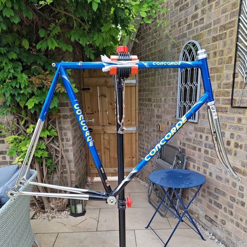Concorde Squadra racing frameset. Columbus TSX. Cinelli lugs & BB shell. 60cm.