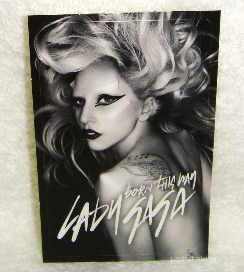 Born this Way: Int'l Deluxe Edition by Lady Gaga (CD, 2011) for