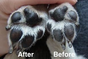 Musher's Secret Pet Sole Protection Cream 200g (Standard Size)