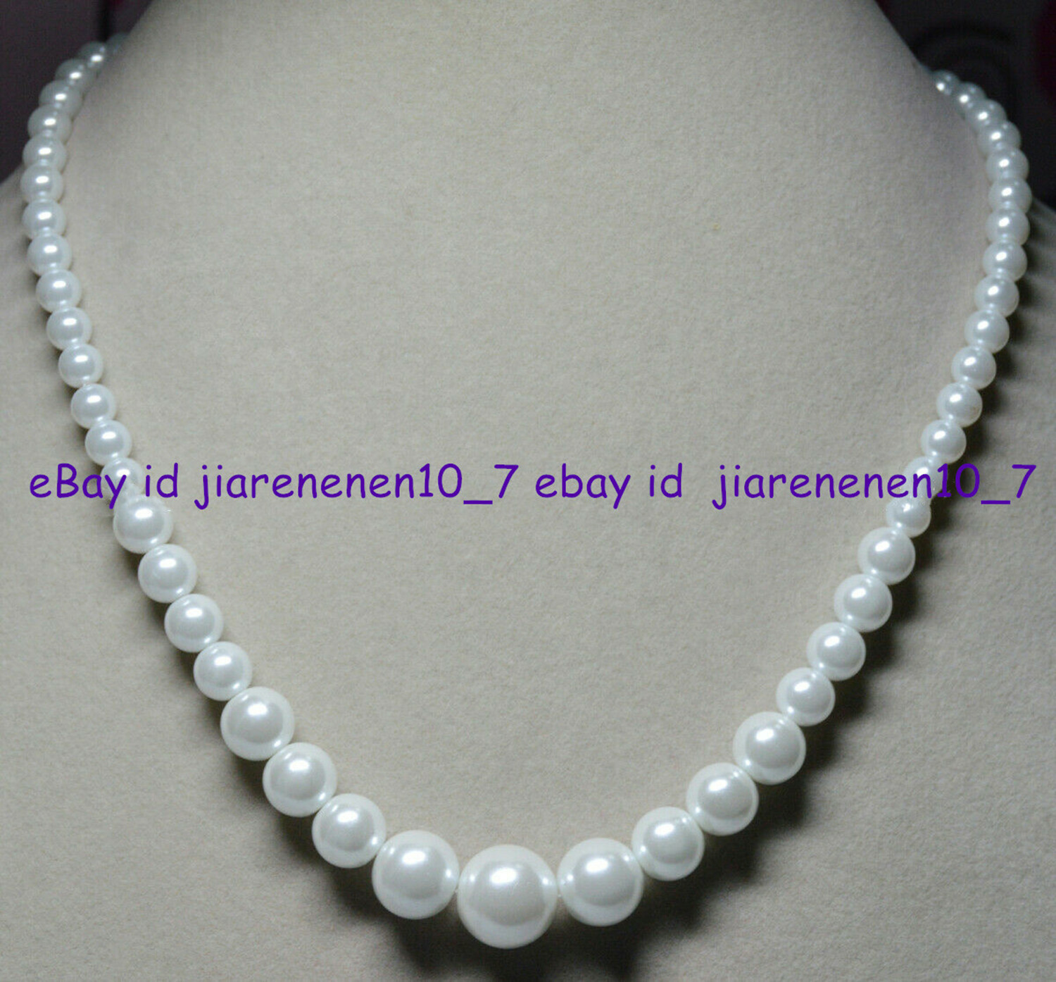 Bild 8 von 12