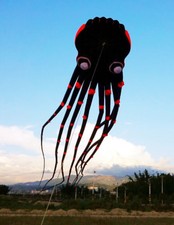 3D 23m Black 1 Line Stunt Parafoil Octopus POWER Sport Kite outdoor toy