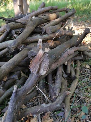 Legna da Ardere legni e Tronchetti accendifuoco di Arancio 15kg - Foto 2 di 5