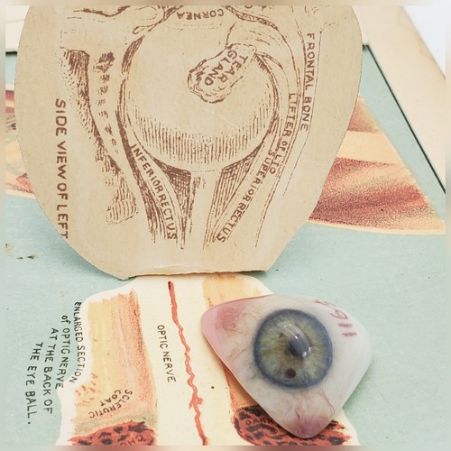 Vintage Prosthetic Plastic Eye Salesman Sample Human Eye Super Rare Painted - Picture 8 of 11