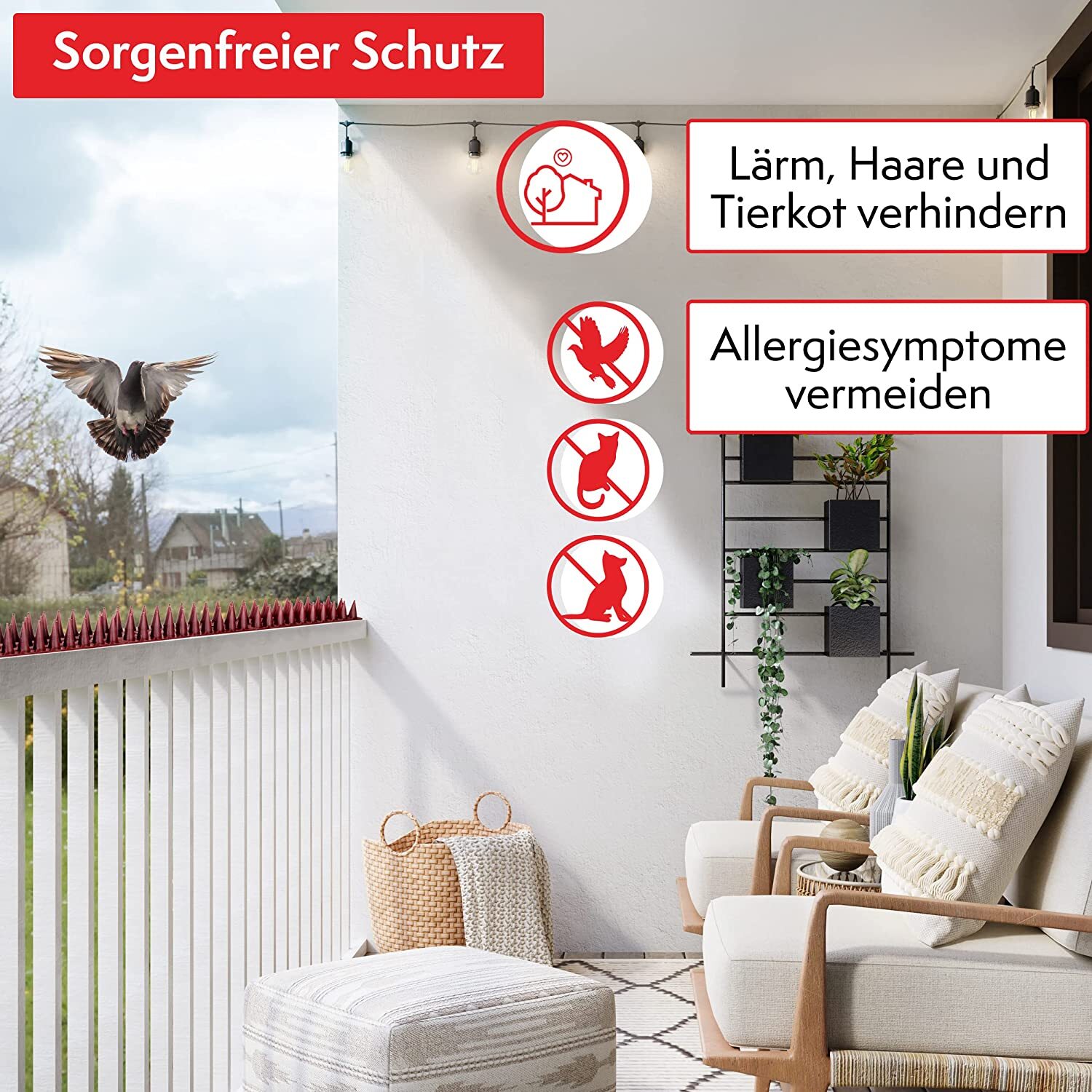 Bild 2 von 8