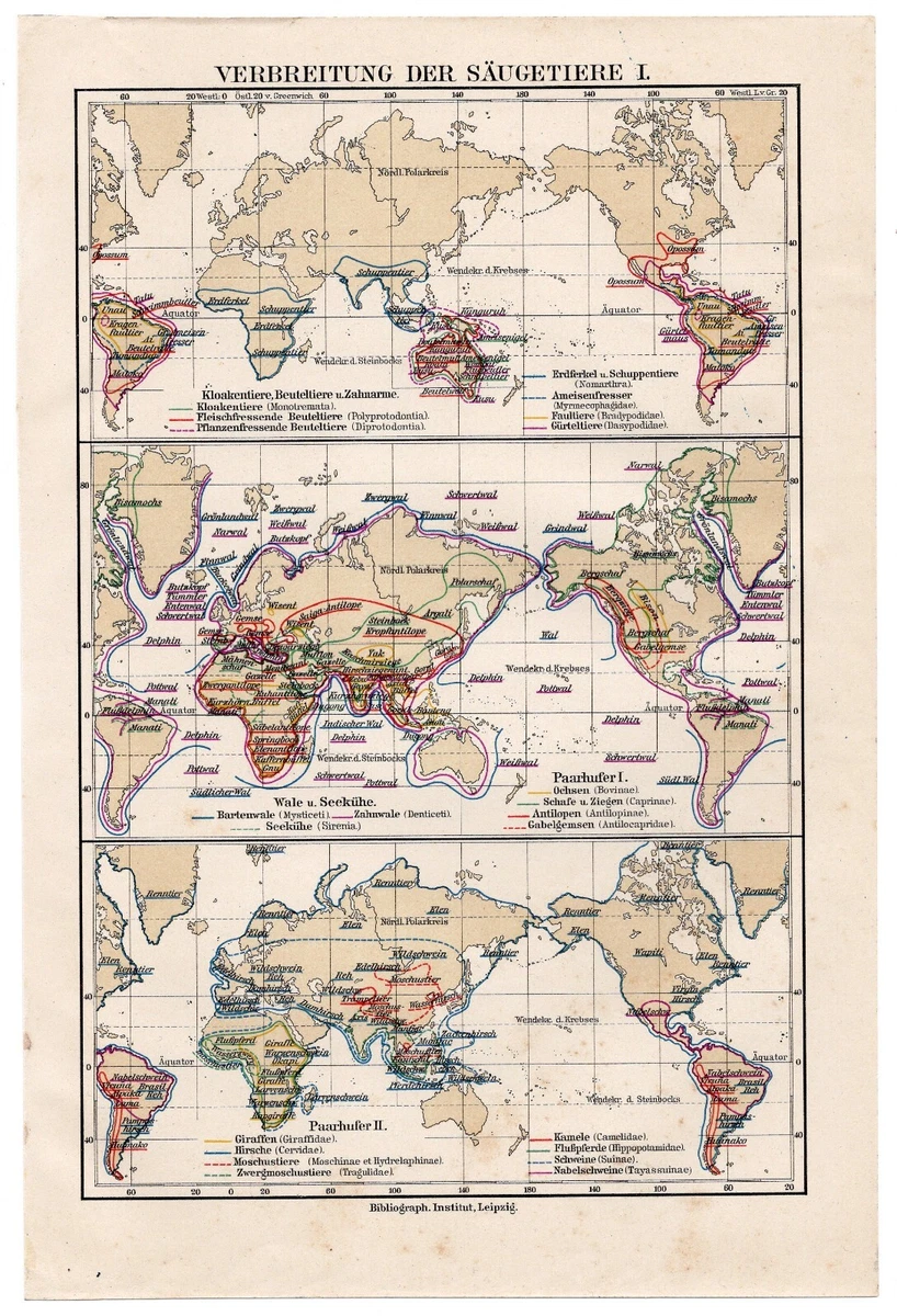 Antique World Maps & Atlases World 1900-1909 Date Range for sale