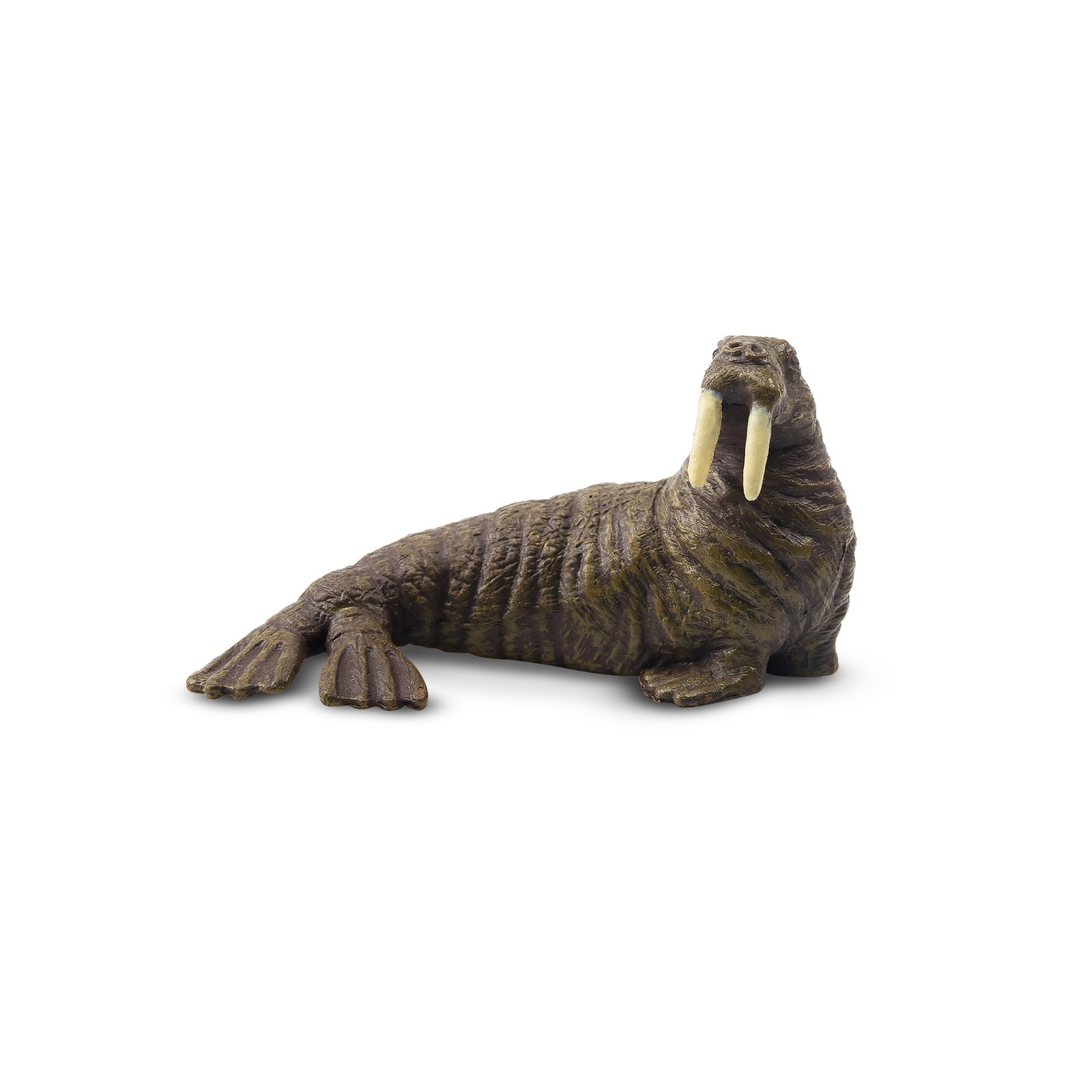 Toymany ML00097 Arctic 5.1 cm Water World Walross Action Figure