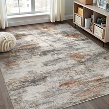 Area Rugs for Living Room: 5x7 Washable Neutral Modern Rug for Bedroom Large ...