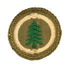 Forester Proficiency Award Badge Brown back Troop No words Rare Version S1194