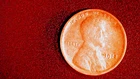 1913 wheat penny no mint mark