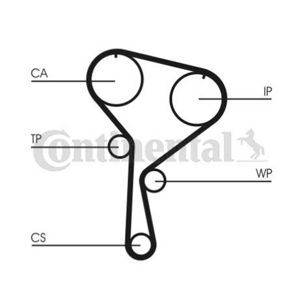 Pièce Auto Complète Kit Distribution Contitech CT975WP3 - Courroie Pompe à Eau Complète Courroie Distribution Contitech Pièce Auto Complète Kit Distribution Contitech CT975WP3 - Courroie Pompe à Eau Complète Courroie Distribution Contitech