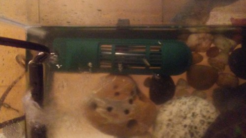 tetra turtle aquarium heater