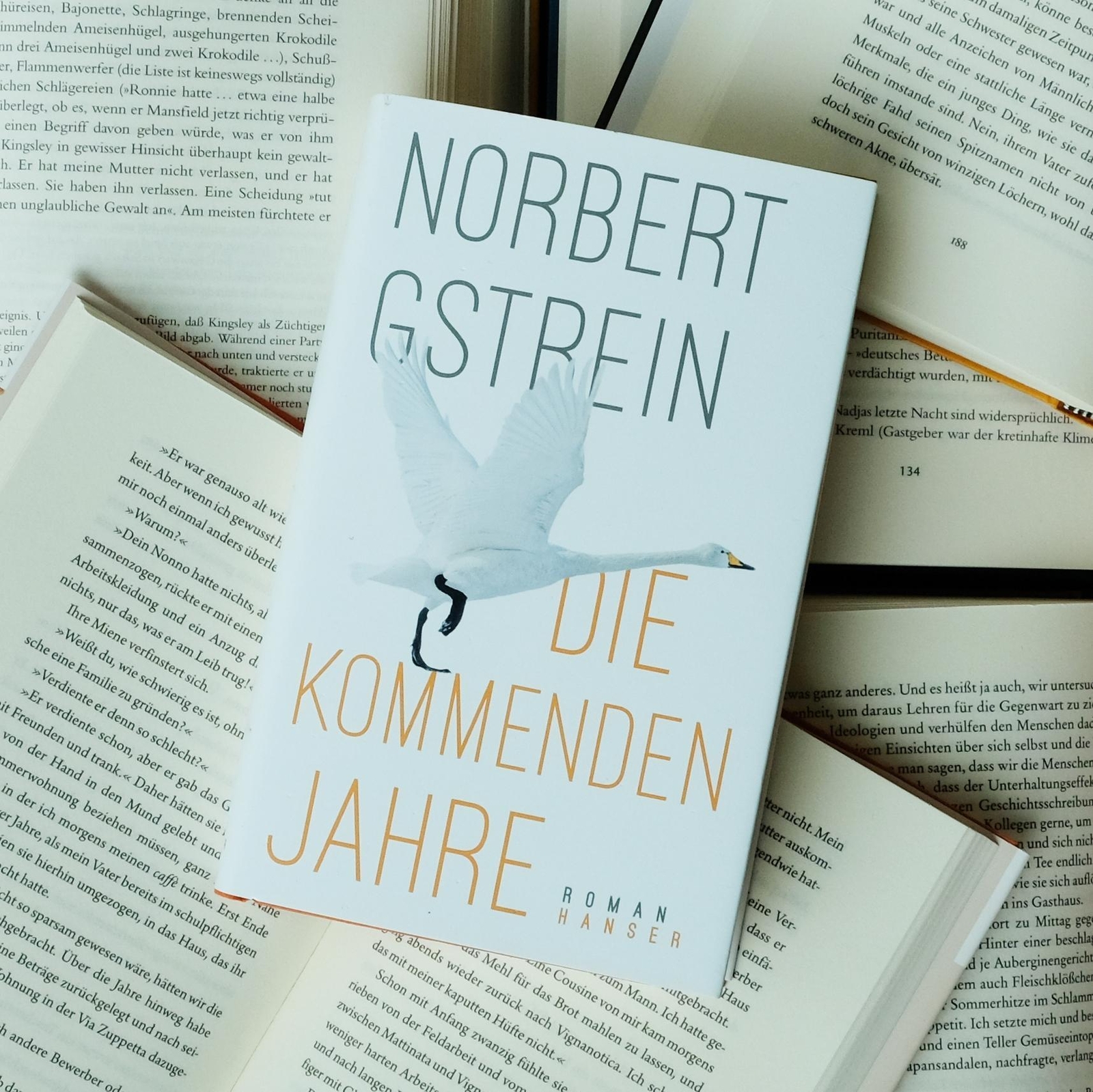 Thumbnail - Die Kommenden Jahre | Norbert Gstrein | Deutsch | Buch | 288 S. | 2018