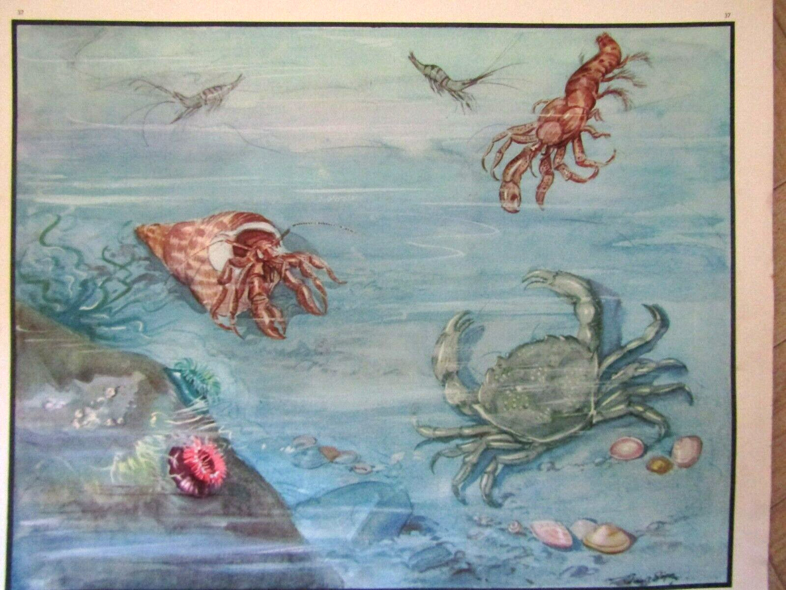 Picture 2