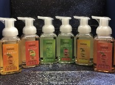 Pack Of 6 Foaming Hand Soap Moisturizing Hand Soap 8.7 Oz Each With Aloe Vera