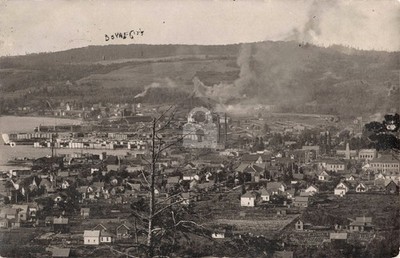Bird's-Eye View Boyne City MI Michigan 1907 RPPC Photo Postcard COPY